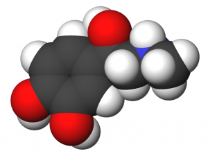 Epinephrine-3d-CPK