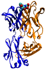 150px-Mouse-cholera-antibody-1f4x