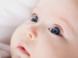 Ячмень на глазу у ребенка: лечение
