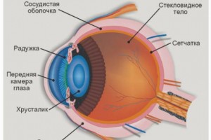 Восстановление зрения по системе Норбекова