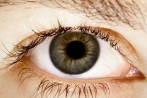 Факторы риска развития глаукомы