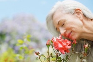 С помощью зрения и обоняния можно установить раннюю стадию болезни Альцгеймера