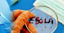 ВОЗ утверждает, что эффективного лекарства от вируса Эбола нет