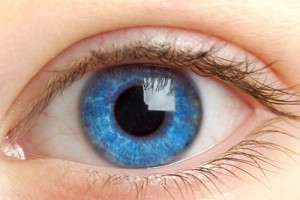 Ученые обнаружили неизвестный до сих пор элемент роговой оболочки глаза человека