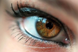 Новые особенности строения человеческого глаза