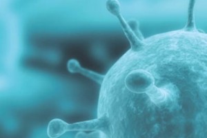Герпесвирусная инфекция может снижать интеллектуальные способности человека
